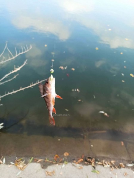 Прогулка с ультралайтом Прогулка с ультралайтом