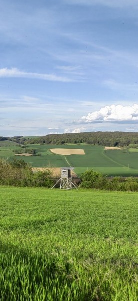 Охота за привидениями. Охота за привидениями.