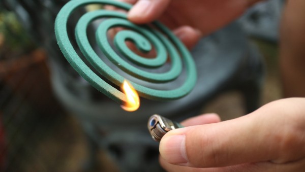 Летние кровососы и защита от них Летние кровососы и защита от них