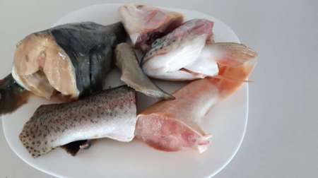 Уха домашняя Уха домашняя