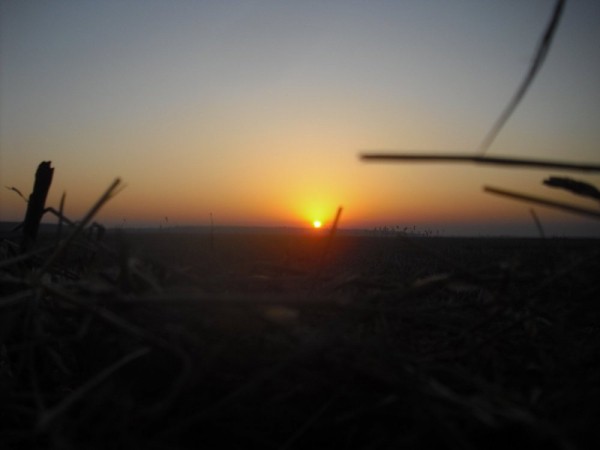 Хмурая весна или необычный сезон охоты.