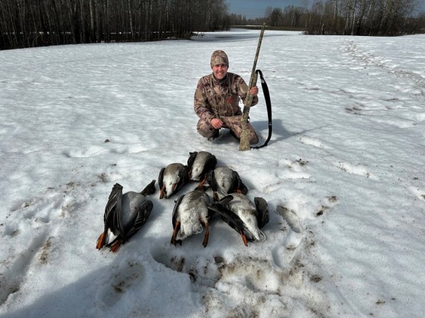 Ради звуков гусиного гомона. Весна 2023 Ради звуков гусиного гомона. Весна 2023