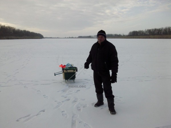 Ловля щуки жерлицами на бывшем колхозном пруду Ловля щуки жерлицами на бывшем колхозном пруду