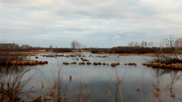 Весенние моменты Охоты!  *2023*