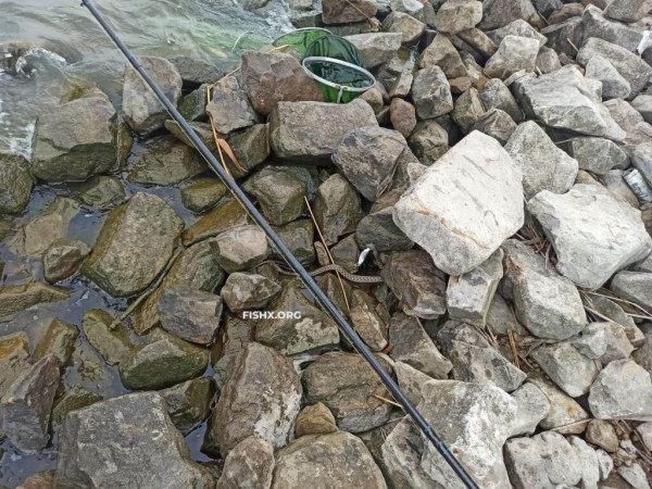 Рыбалка на плотине ТЭС Рыбалка на плотине ТЭС