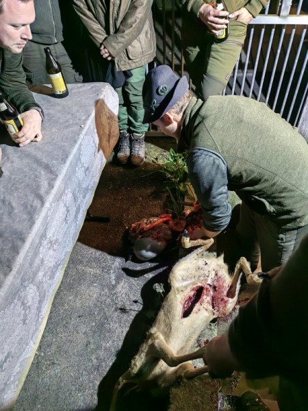 Охота за привидениями. Охота за привидениями.