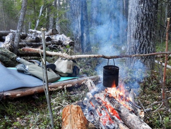 По глухарю. По глухарю.