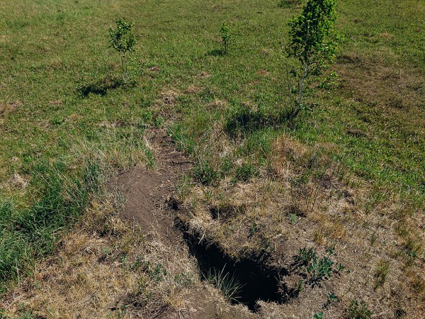 Открытие охоты на сурка с мелкашкой