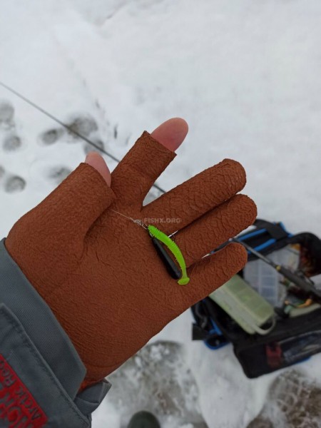 Зимний судак на спиннинг перед ледоставом