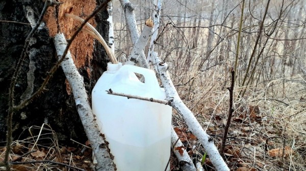 Весенние моменты Охоты!  *2023*