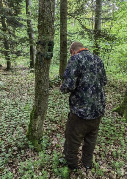 Сумасшедший май. Сумасшедший май.