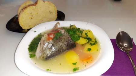 Уха домашняя Уха домашняя