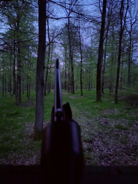 Весенняя охота. Весенняя охота.