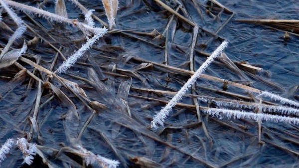 Туманное утро