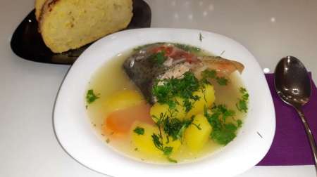 Уха домашняя Уха домашняя