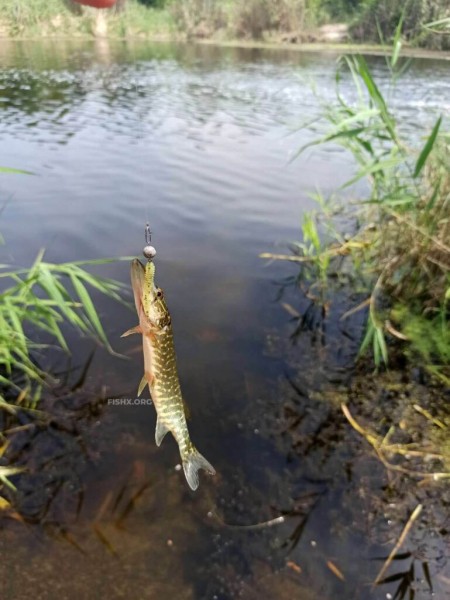 Ультралайт на лесном озере Ультралайт на лесном озере