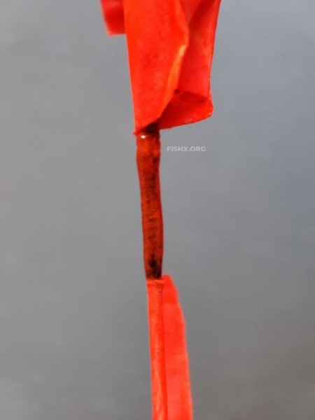 Ремонт вершинки спиннинга Ремонт вершинки спиннинга