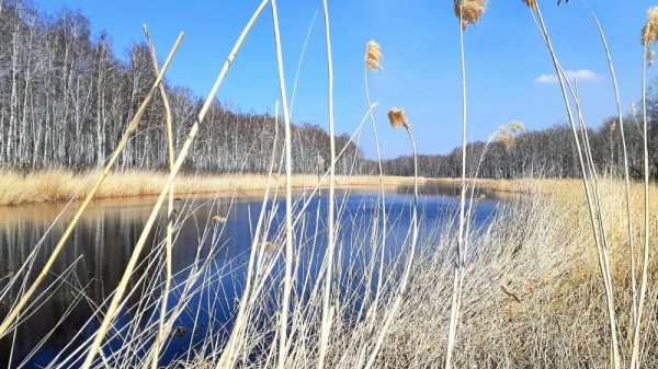 Весенние моменты Охоты!  *2023*