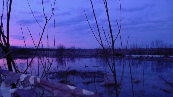 Первая утрянка весеннего сезона Первая утрянка весеннего сезона