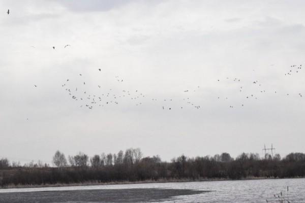 Пошла жара))) Пошла жара)))