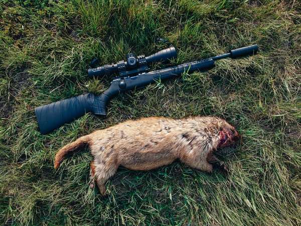 Открытие охоты на сурка с мелкашкой