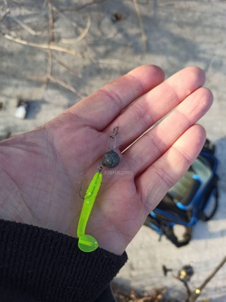 Толстолобик вместо судака на спиннинг