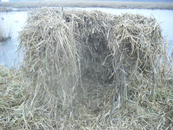 Хмурая весна или необычный сезон охоты.