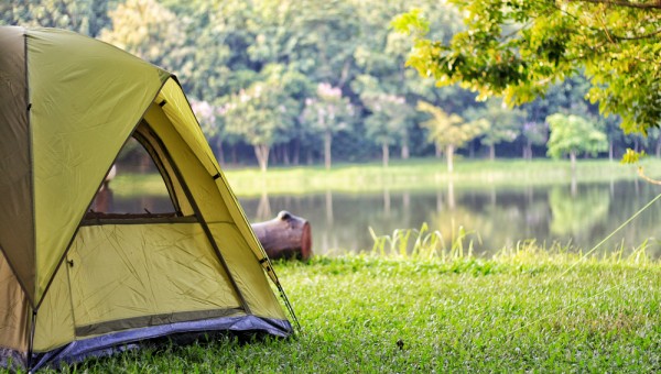 Летние кровососы и защита от них Летние кровососы и защита от них