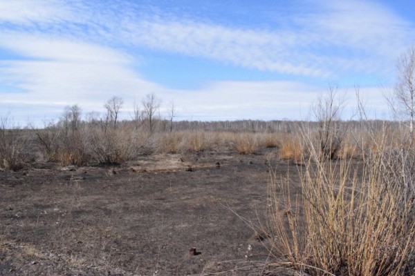 Вот и ледоход,ждём массу уток и гусей))) Вот и ледоход,ждём массу уток и гусей)))