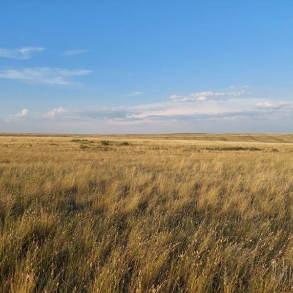 Холодное с горячим... Холодное с горячим...