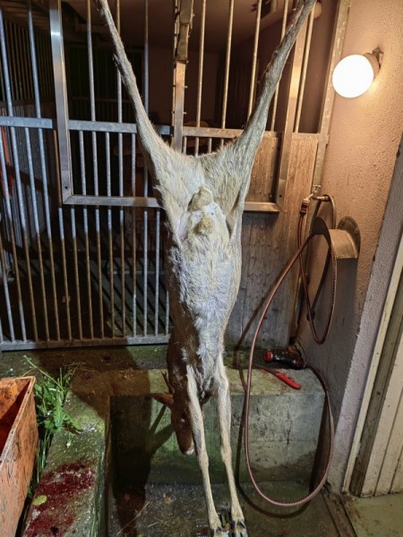 Охота за привидениями. Охота за привидениями.