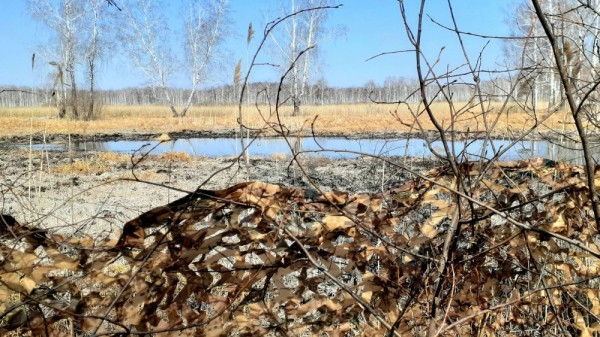 Весенние моменты Охоты!  *2023*