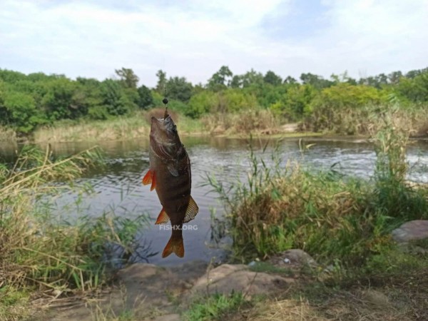 Ультралайт на лесном озере Ультралайт на лесном озере