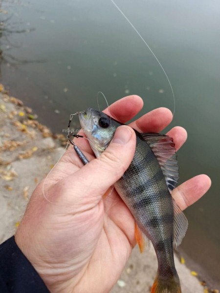 Прогулка с ультралайтом Прогулка с ультралайтом