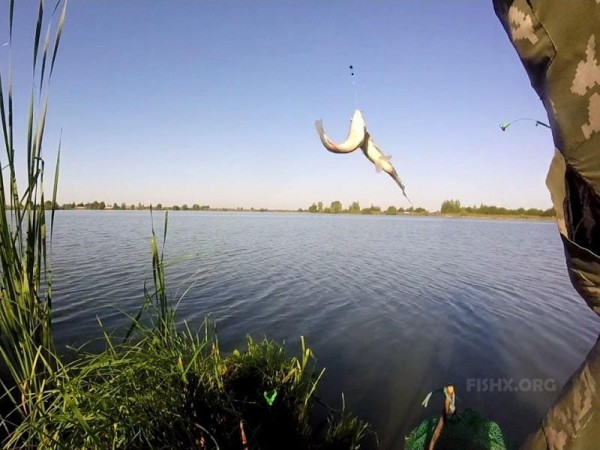 Пруд в Акашево