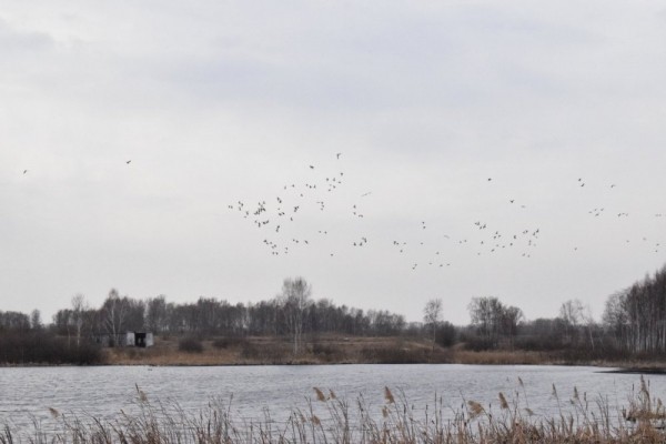 Пошла жара))) Пошла жара)))