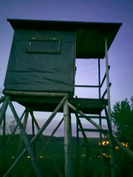 Охота за привидениями. Охота за привидениями.