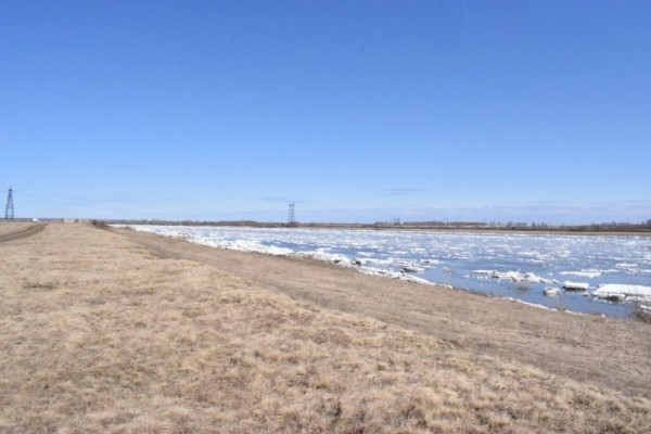 Вот и ледоход,ждём массу уток и гусей))) Вот и ледоход,ждём массу уток и гусей)))