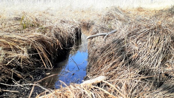 Весенние моменты Охоты!  *2023*