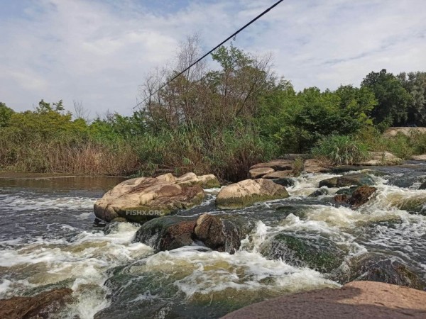Ловля окуня на перекате