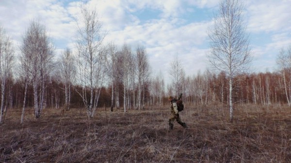 Вечер на тяге и тетеревиный ток Вечер на тяге и тетеревиный ток