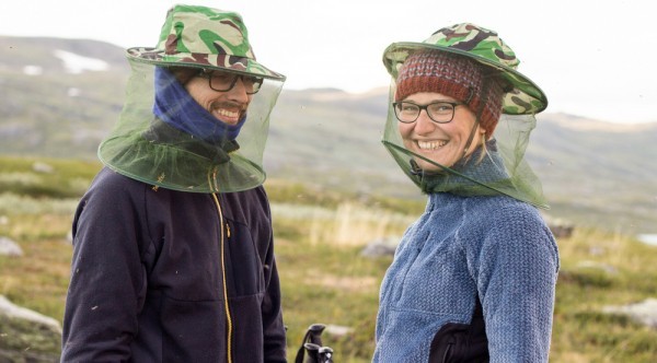 Летние кровососы и защита от них Летние кровососы и защита от них