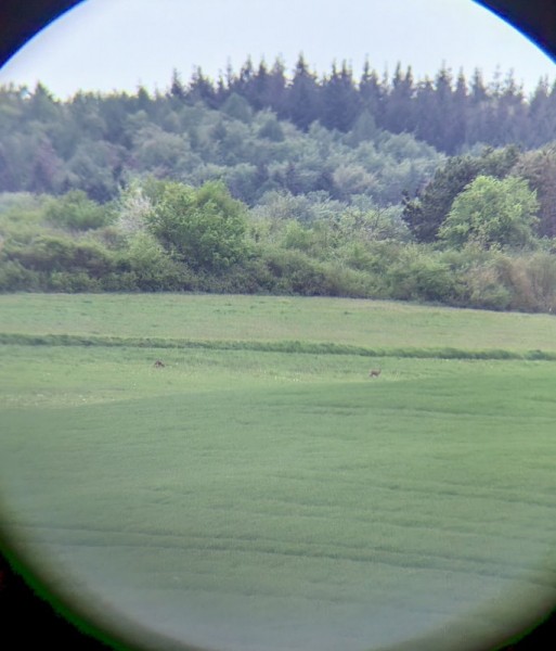 Охота за привидениями. Охота за привидениями.