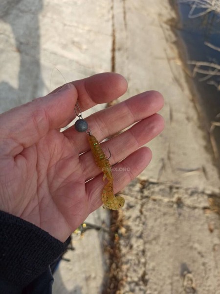 Толстолобик вместо судака на спиннинг