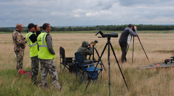 Варминтинг: охота или спорт? Варминтинг: охота или спорт?