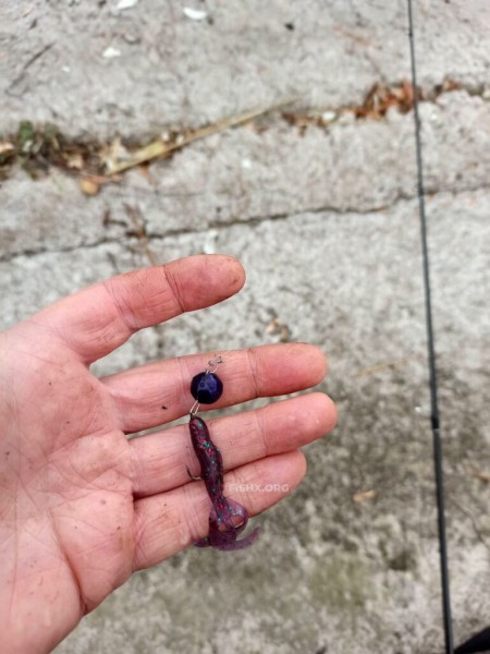 Правильный подбор приманки при ловле джигом – львиная доля успешной ловли