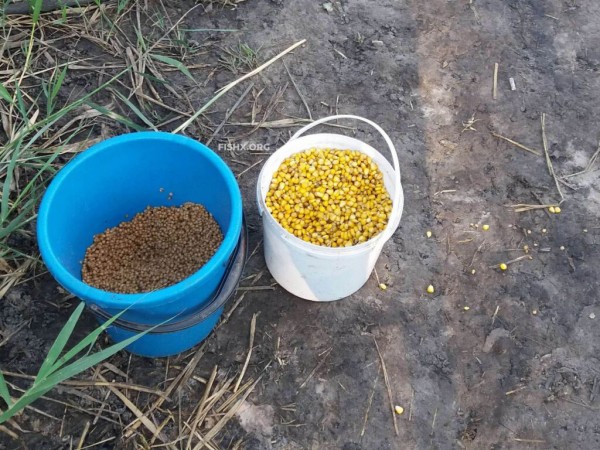 Трофеи на водохранилище Трофеи на водохранилище