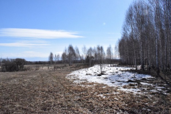 Вот и ледоход,ждём массу уток и гусей))) Вот и ледоход,ждём массу уток и гусей)))