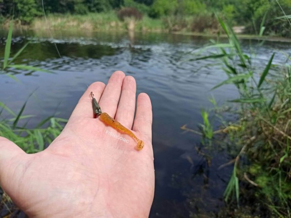 Ультралайт на лесном озере Ультралайт на лесном озере