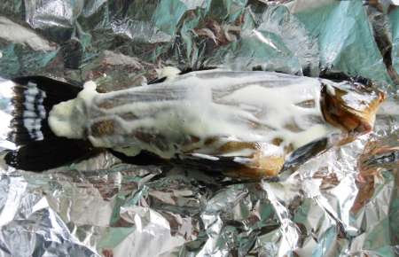 Линь, фаршированный овощами и запечённый в духовке